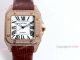 High Quality Cartier Santos De Diamond Case Brown Dial Wrist Automatic (2)_th.jpg